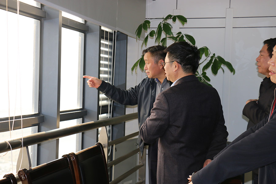 全國工商聯楊啟儒副主席一行來銀億集團考察調...